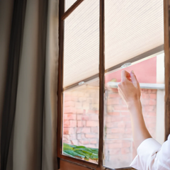 Cordless Cellular Shades